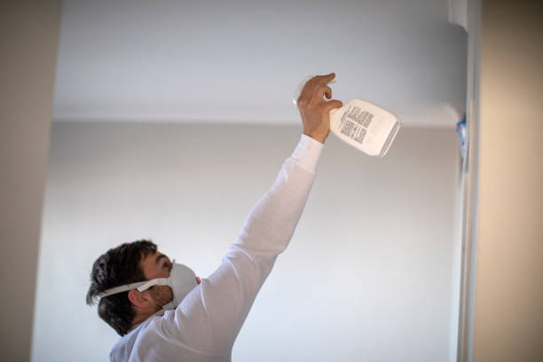 Best Emergency Mold Removal  in Wamego, KS