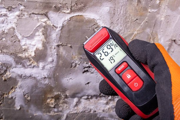 Office Mold Removal Services in Wamego, KS