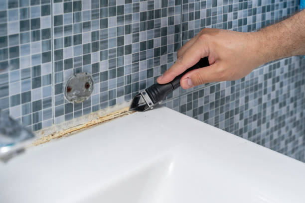Best Affordable Mold Removal  in Wamego, KS